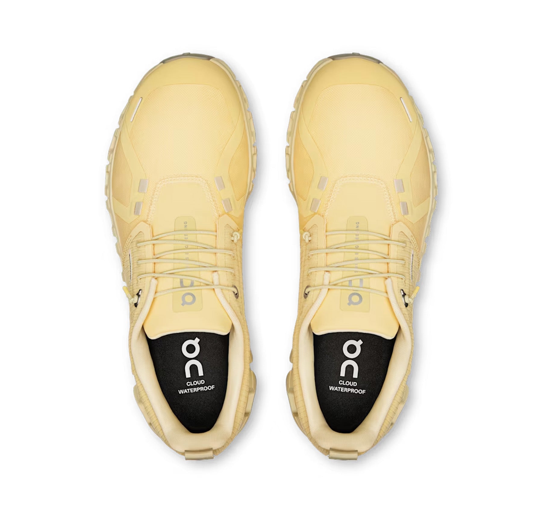 ON Women's Cloud 6 Waterproof Nectar/Castor