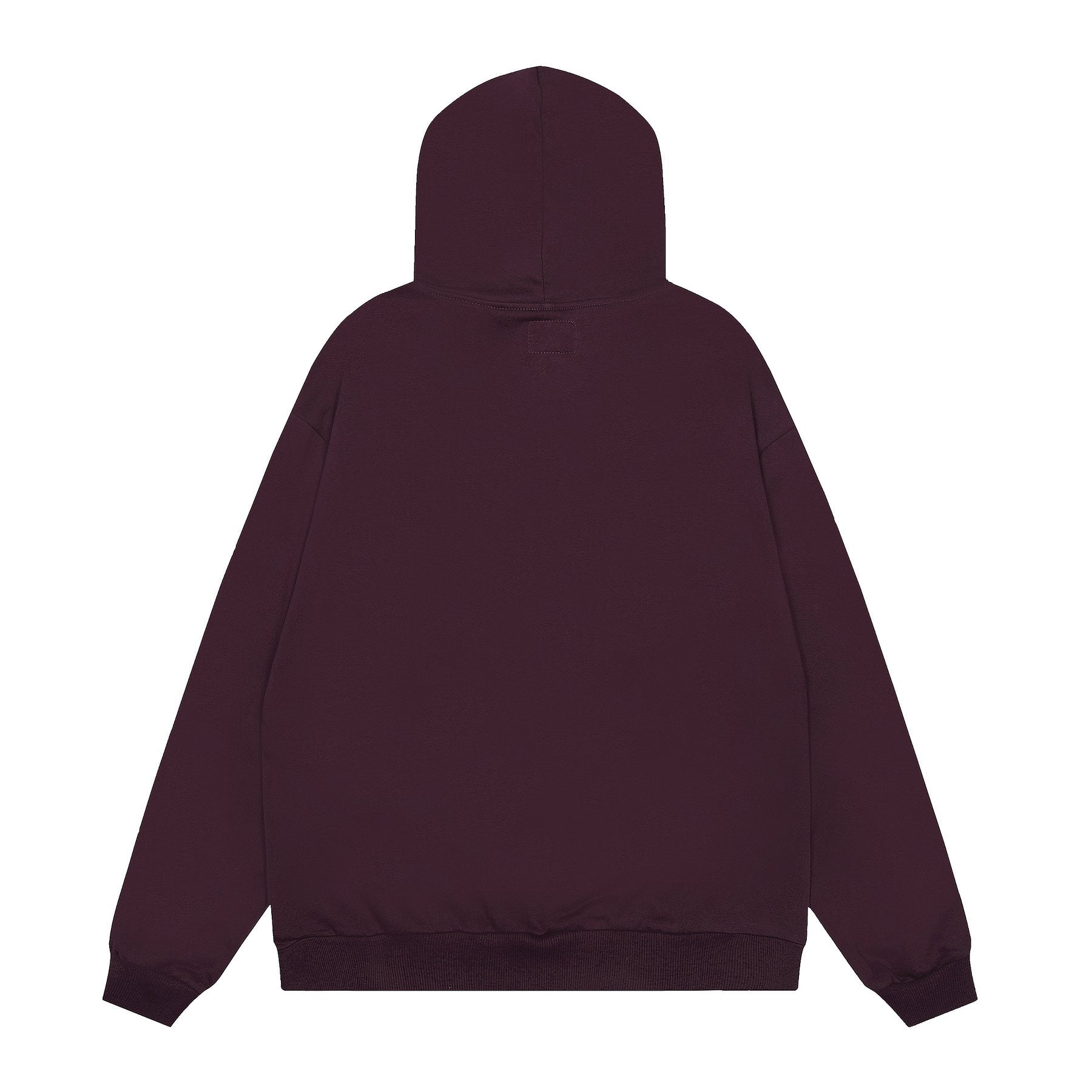 Sp5der Spiderweb Graphic Pullover Hoodie — back