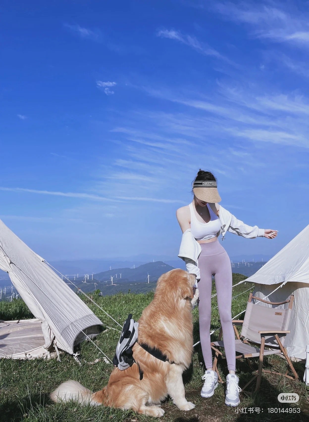 DIOR Sun Visor